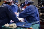 David Bennett breaking news, David Bennett heart transplant new updates, us surgeons transplant pig heart into a human patient, Maryland hospital
