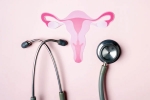 Cervix updates, Cervix, how to protect cervical health, Girl