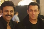 Salman Khan and venkatesh, Salman Khan and venkatesh, watch salman khan shake legs with venkatesh at his daughter aashritha daggubati s wedding, Bollywood star salman khan