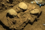 7200 year old human remains latest, 7200 year old human remains found, remains of a teenager who died 7200 years found, Archeologist