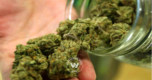Pot to be sold in pharmacies now!},{Pot to be sold in pharmacies now!