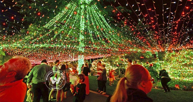 Family creates World Record with Christmas lights