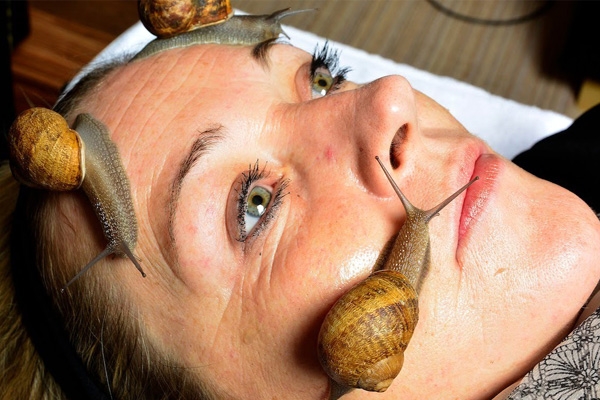 Treatment of face by snail},{Treatment of face by snail