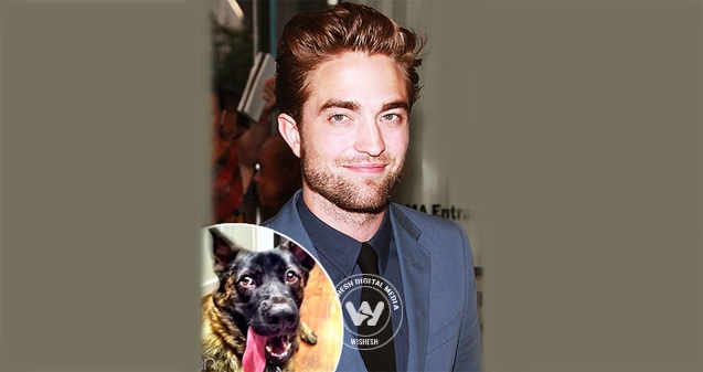 Rob Pattinson's 'puppy' love},{Rob Pattinson's 'puppy' love