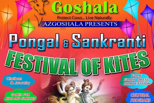 Festival of Kites – Pongal & Sankranti