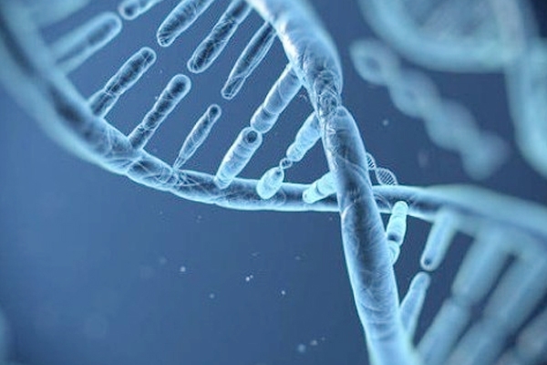 Ten lupus linked genes identified by Indian-American scientist led team},{Ten lupus linked genes identified by Indian-American scientist led team