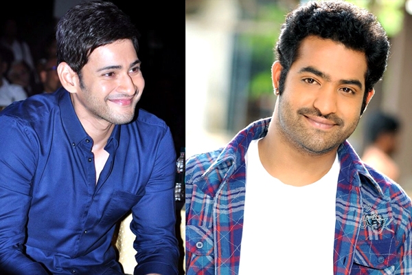 Mahesh to Lend his Voice for NTR