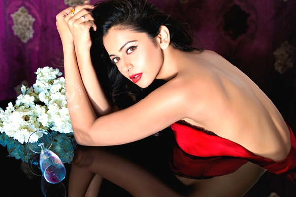 Rakul Preet to Romance Mega Hero},{Rakul Preet to Romance Mega Hero