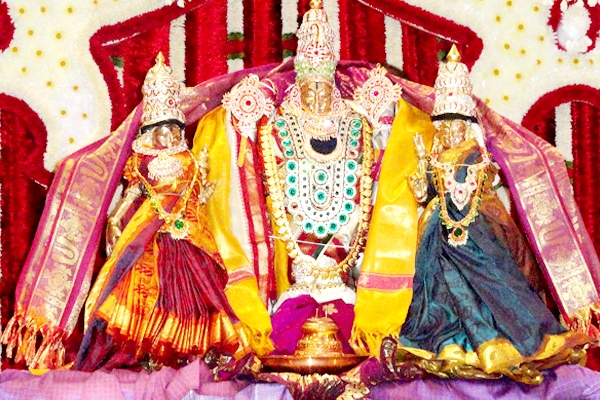 Grand Sri Srinivasa Kalyan in Arizona!
