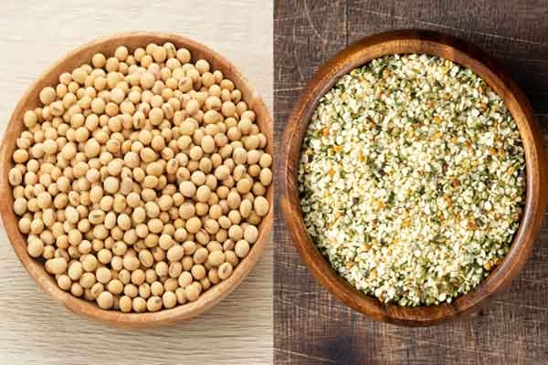 Vegetarian Foods that have more Protein than Chicken