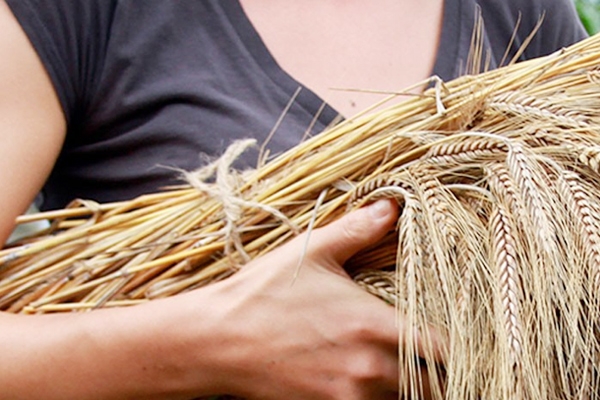 Food for life at Watkins Shelter, Arizona