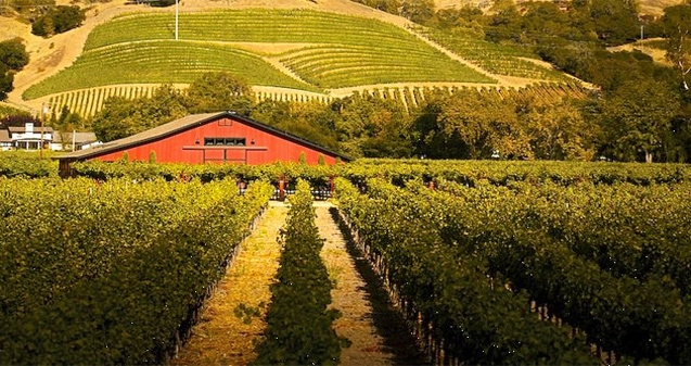 Insider's guide to Napa Valley